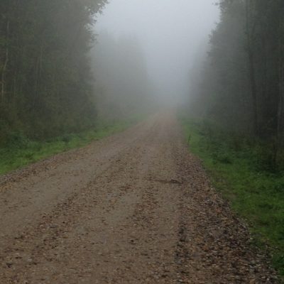 (12) image
