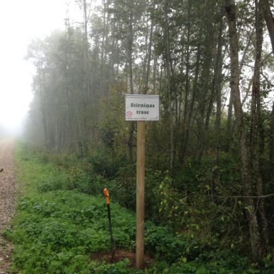 (2) image